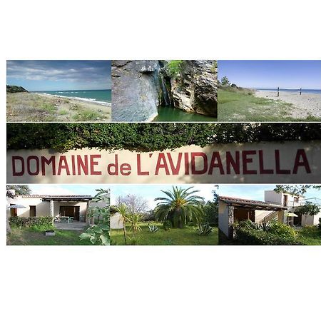 Domaine De L'Avidanella Διαμέρισμα Santa-Lucia-di-Moriani Εξωτερικό φωτογραφία