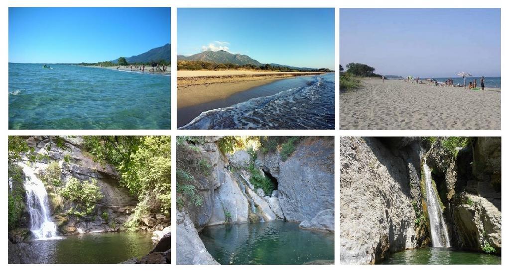 Domaine De L'Avidanella Διαμέρισμα Santa-Lucia-di-Moriani Εξωτερικό φωτογραφία
