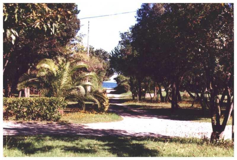 Domaine De L'Avidanella Διαμέρισμα Santa-Lucia-di-Moriani Εξωτερικό φωτογραφία