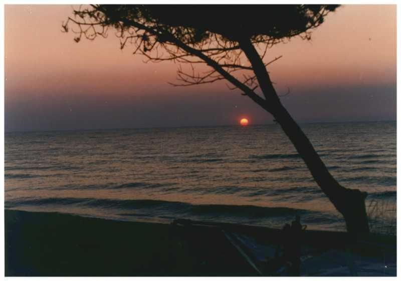 Domaine De L'Avidanella Διαμέρισμα Santa-Lucia-di-Moriani Εξωτερικό φωτογραφία