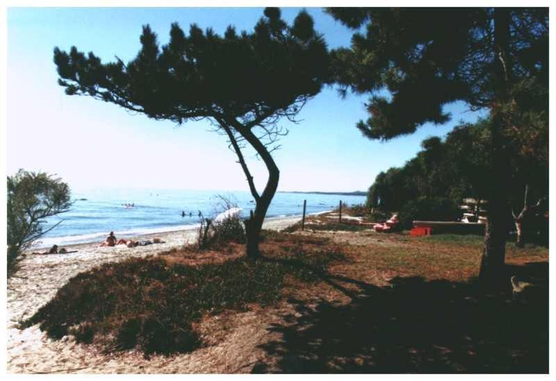 Domaine De L'Avidanella Διαμέρισμα Santa-Lucia-di-Moriani Εξωτερικό φωτογραφία