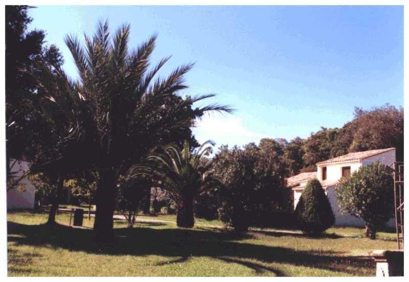 Domaine De L'Avidanella Διαμέρισμα Santa-Lucia-di-Moriani Εξωτερικό φωτογραφία