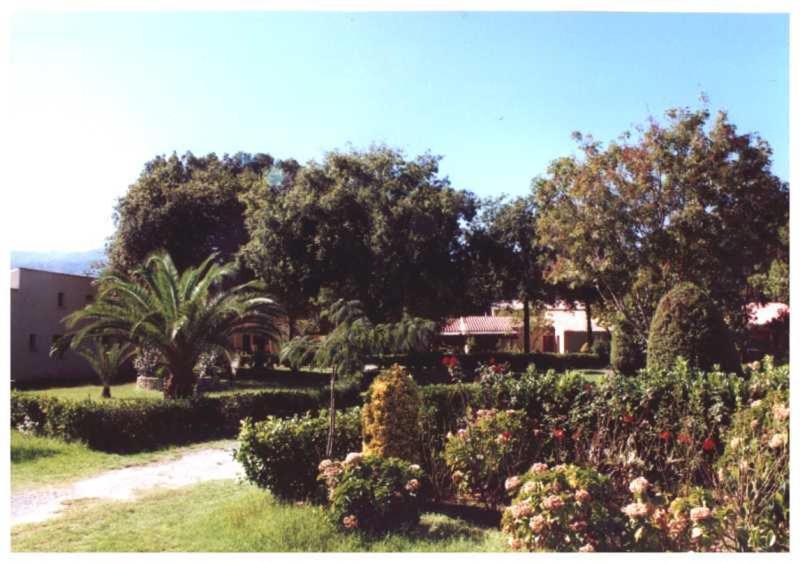 Domaine De L'Avidanella Διαμέρισμα Santa-Lucia-di-Moriani Εξωτερικό φωτογραφία