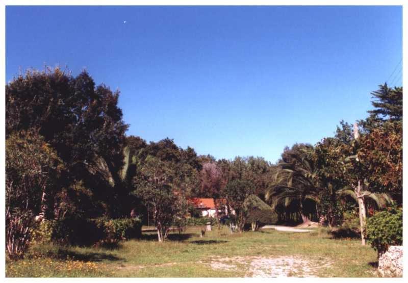 Domaine De L'Avidanella Διαμέρισμα Santa-Lucia-di-Moriani Εξωτερικό φωτογραφία