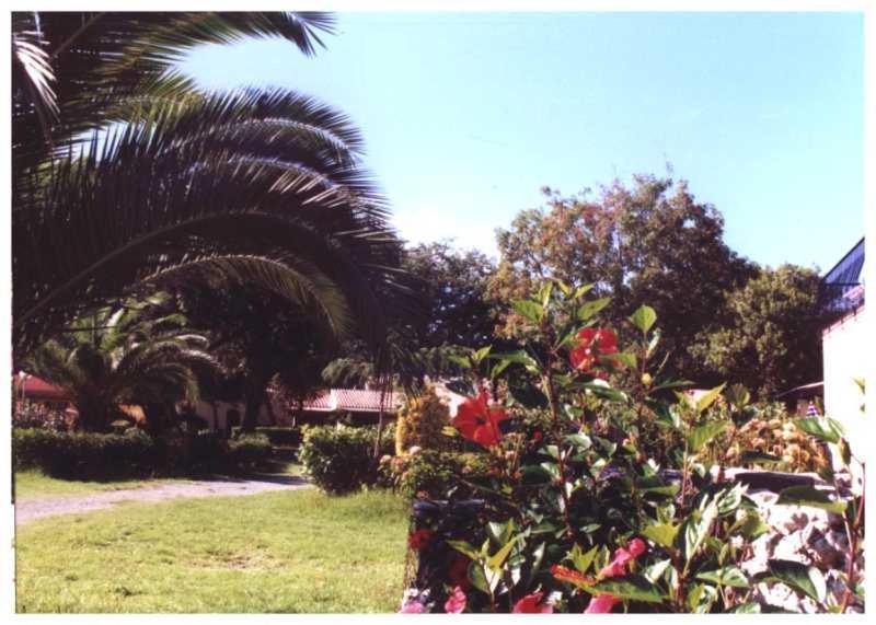 Domaine De L'Avidanella Διαμέρισμα Santa-Lucia-di-Moriani Εξωτερικό φωτογραφία