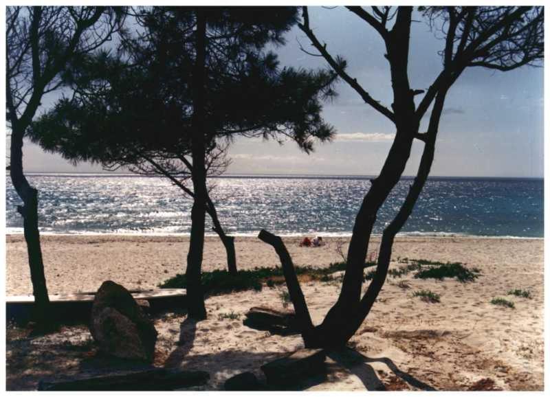 Domaine De L'Avidanella Διαμέρισμα Santa-Lucia-di-Moriani Εξωτερικό φωτογραφία