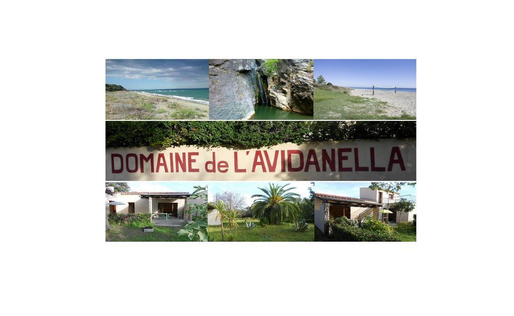 Domaine De L'Avidanella Διαμέρισμα Santa-Lucia-di-Moriani Εξωτερικό φωτογραφία