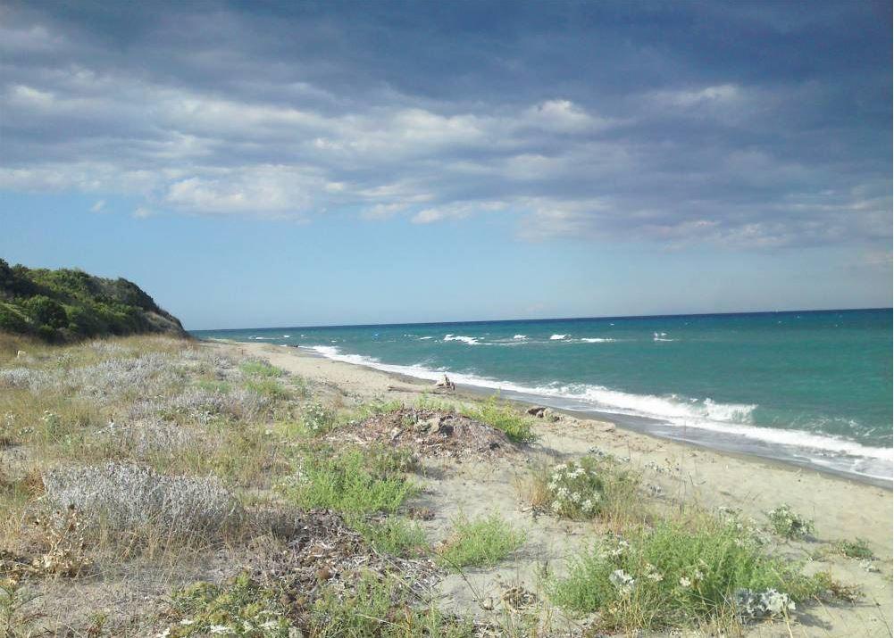 Domaine De L'Avidanella Διαμέρισμα Santa-Lucia-di-Moriani Εξωτερικό φωτογραφία